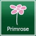  Primrose優惠代碼